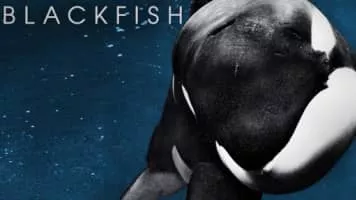 Blackfish - 2013 ‧ Documentary ‧ 1h 30m