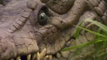 Blood Surf - 2000 ‧ Thriller/Horror ‧ 1h 28m