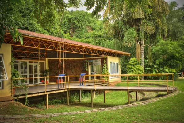 bosque da barra parque natural municipal bosque da freguesia - 