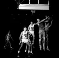 Chicago Stags - Basketball team