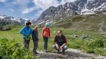 Chornique D'en Haut (Chroniques d'en haut) - TV program