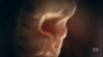 Countdown to Life: The Extraordinary Making of You - TV program