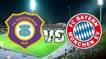 FC Erzgebirge Aue - Football club