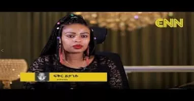 Fikir Yitagesu - Musical artist