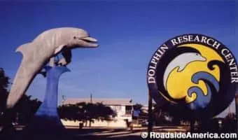 Flipper - American television program