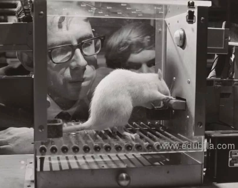 Frank Rosenblatt - American psychologist