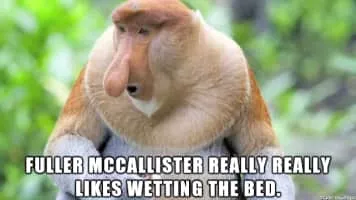 Fuller McCallister - Movie character