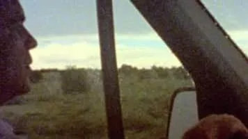 Future Islands - Pop band