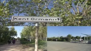 İnciraltı Kent Ormanı (İzmir Büyükşehir Belediyesi İnciraltı Kent Ormanı) - 