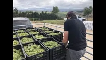 Jamie Goode - Author