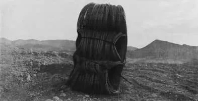 Jungjin Lee - Photographer