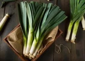 Leeks - Vegetable