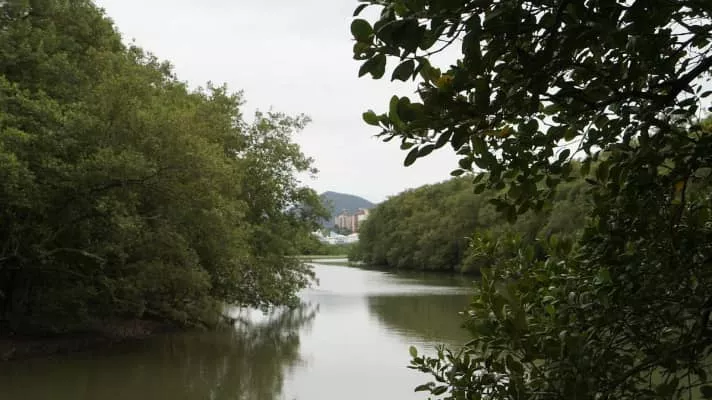 light park parque do manguezal do itacorubi - 