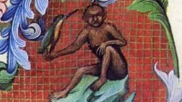 Neidhart von Reuental - Musical artist