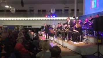 Niels Jørgen Steen - Musician