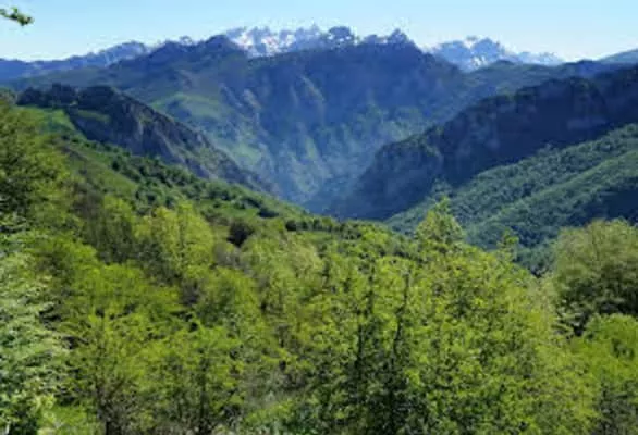 reserva natural parcial de peloño parque natural de ponga - 