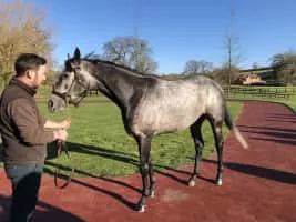 Roaring Lion - Singer