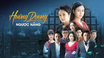 Sunflower Against the Sun (Hướng dương ngược nắng) - TV program