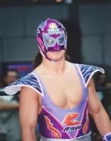 Super Delfin - Japanese politician