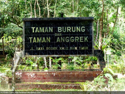 Taman burung dan taman anggrek Biak Numfor Regency - 