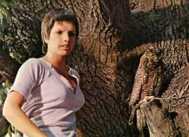 Tell Me That You Love Me, Junie Moon - 1970 ‧ Drama/Romance ‧ 1h 53m