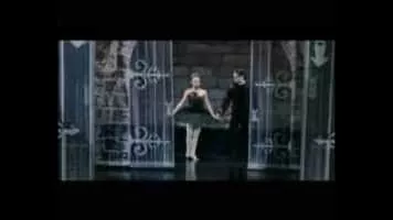 dadaroma the black swan - Musical group