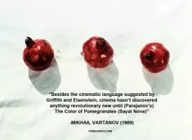 The Color of Pomegranates - 1969 ‧ Drama/Art ‧ 1h 15m