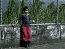 The Colors of the Mountain - 2010 ‧ Drama ‧ 1h 33m