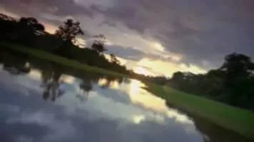 The Listening Pool - Band