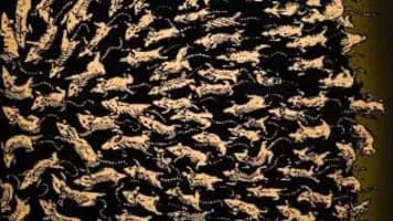 The Rats in the Walls - Short story by H. P. Lovecraft