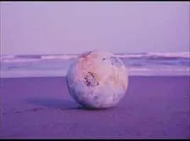 Throw Away Your Books, Rally in the Streets - 1971 ‧ Drama/Musical ‧ 2h 17m