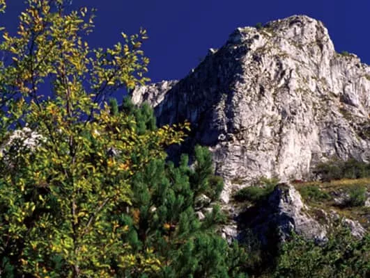 Val Rosandra Nature Reserve San Dorligo della Valle - 