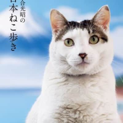 Wildlife Photographer Mitsuaki Iwago's World Cats Travelogue Television show - 2012 ‧ Documentary ‧ 7 seasons