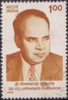 Yellapragada Subbarow - Indian biochemist