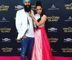 A Trip to Unicorn Island - 2016 ‧ Documentary