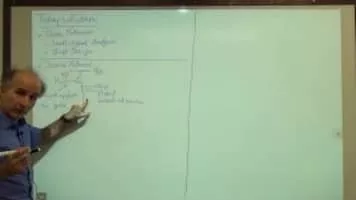 Behzad Razavi - Iranian-American professor