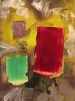 Douglas Haynes - Canadian artist