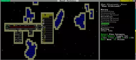 Dwarf Fortress - Video game