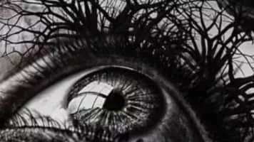 Elliot Bergman - Musical artist