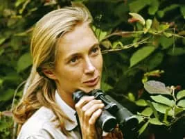 Jane Goodall - Primatologist