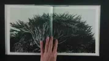 Jungjin Lee - Photographer