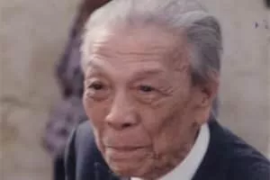 Nguyen Manh Tuong (Nguyễn Mạnh Tường) - Vietnamese lawyer