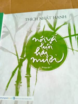 Nói với tuỏ̂i hai mươi Thich Nhat Hanh - Book by Thich Nhat Hanh