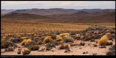 Patagonian Desert - Desert in South America