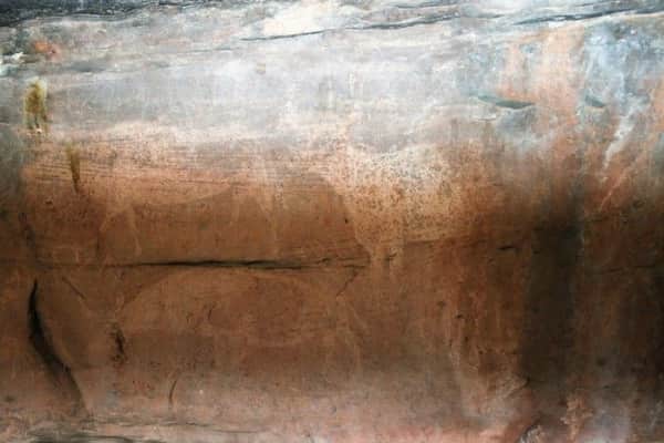 pinares de rodeno abrigo de los toros del prado del navazo - 