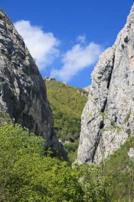 reserva natural parcial de pelono foz de la escalada - 
