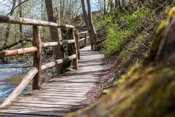 rezerwat przyrody nad tanwia sciezka przyrodnicza na bukowa gore - Tourist attraction in Poland