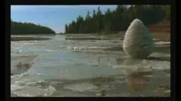 Rivers and Tides: Andy Goldsworthy Working with Time - 2001 ‧ Indie film/Documentary ‧ 1h 32m