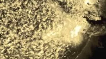 Roly Porter - Musical artist