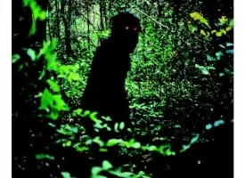 Uncle Boonmee Who Can Recall His Past Lives - 2010 ‧ Drama/Fantasy ‧ 1h 53m